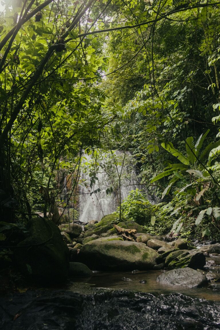 A Traveler's Guide to Vietnam's Rice Terraces