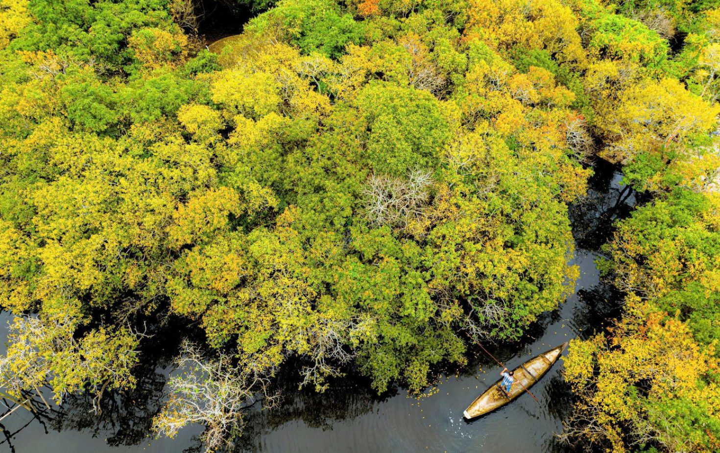 3b76d8d7-6785-43bf-8a87-c86df8e8f210-6679 3b76d8d7-6785-43bf-8a87-c86df8e8f210-6679